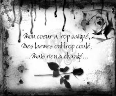 vous vous reconnaitr&eacute;...